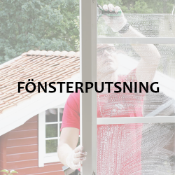 Bildlänk: Fönsterputsning