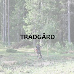 Bildlänk: Trädgård